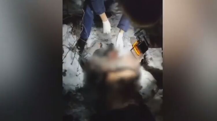 Убийце грозит до 15 лет тюремного заключения. Скриншот из видео