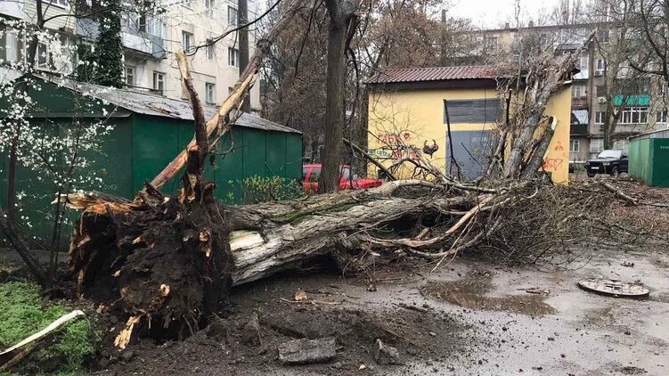 Последствия непогоды в Одессе. Фото: телеграм-каналы